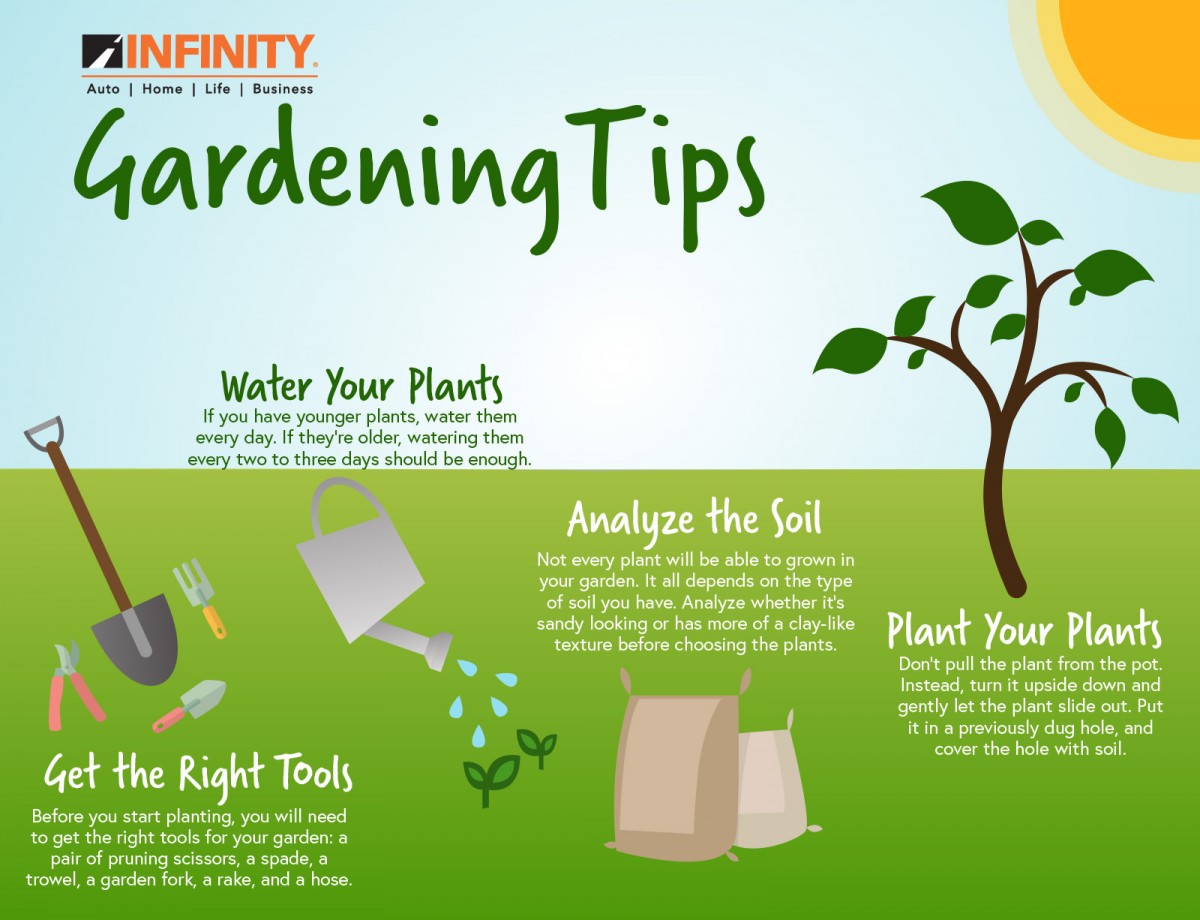 Gardening for Beginners Infinity Insurance